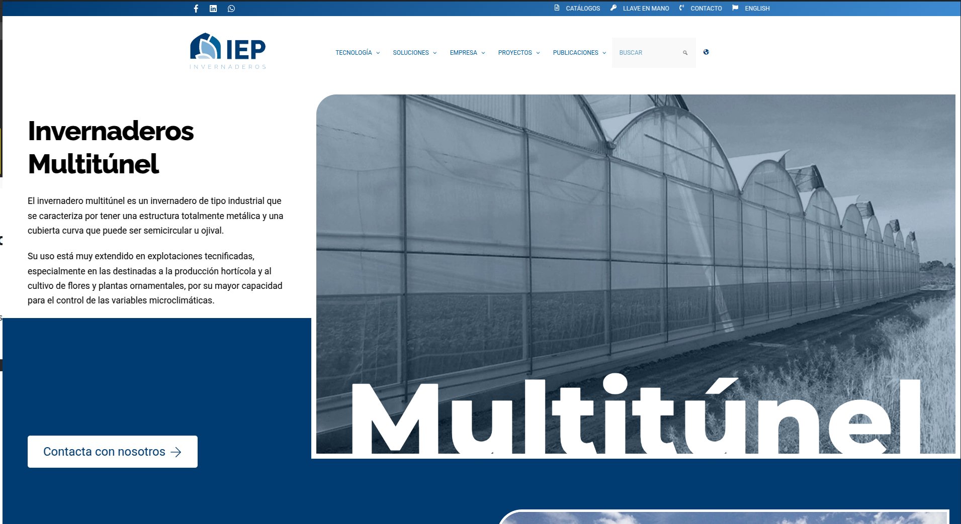 Grupo IEP Invernaderos - Diseño web para empresa internacional